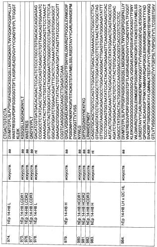 Pscaxcd3, cd19xcd3, c-metxcd3, эндосиалинxcd3, epcamxcd3, igf-1rxcd3 или fap-альфаxcd3 биспецифическое одноцепочечное антитело с межвидовой специфичностью (патент 2547600)