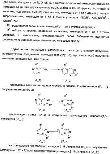 Производные тетрагидроимидазо[1,5-a]пиразина, способ их получения и применение их в медицине (патент 2483070)