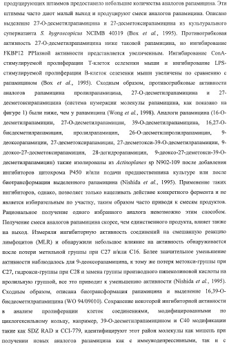 Получение поликетидов и других природных продуктов (патент 2430922)