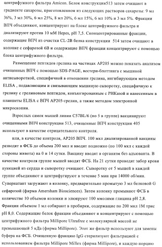 Вирусоподобные частицы, включающие гибридный белок белка оболочки бактериофага ар205 и антигенного полипептида (патент 2409667)