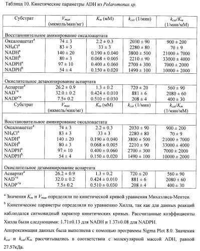 Бактерия семейства enterobacteriaceae - продуцент l-аспарагиновой кислоты или метаболитов, производных l-аспарагиновой кислоты, и способ получения l-аспарагиновой кислоты или метаблитов, производных l-аспарагиновой кислоты (патент 2472853)