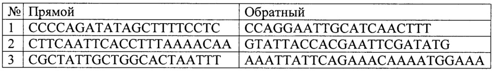 Способ определения генотоксичности ксенобиотиков на основе анализа повреждений митохондриальной днк земляного шмеля (bombus terrestris) (патент 2663719)