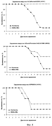 Рекомбинантная вакцина против вируса &quot;свиного&quot; гриппа h1n1 и спсоб ее получения (патент 2451027)