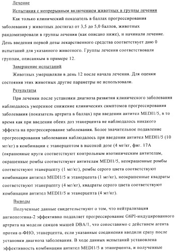 Стабилизированные антитела против ангиопоэтина-2 и их применение (патент 2509085)