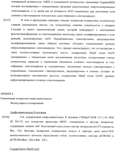 Конструкции слияния и их применение для получения антител с повышенными аффинностью связывания fc-рецептора и эффекторной функцией (патент 2407796)