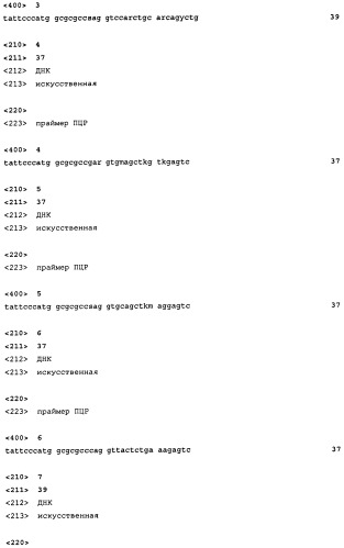 Способ клонирования когнатных антител (патент 2459868)