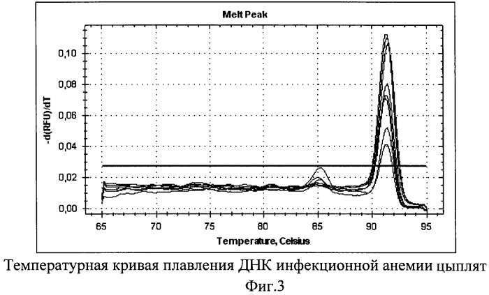 Синтетические олигонуклеотидные праймеры и способ выявления днк вируса инфекционной анемии цыплят с помощью синтетических олигонуклеотидных праймеров в полимеразной цепной реакции в режиме реального времени (патент 2481403)