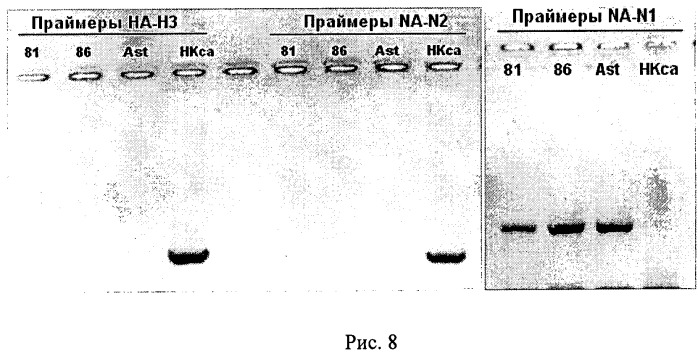 Штамм вируса гриппа а/гонконг/1/68/162/35 (h3n2)-универсальный донор внутренних генов для реассортантов и реассортантные штаммы а/спб/гк/09 (h1n1) и а/нк/astana/6:2/2010 (h5n1), полученные на его основе (патент 2511431)