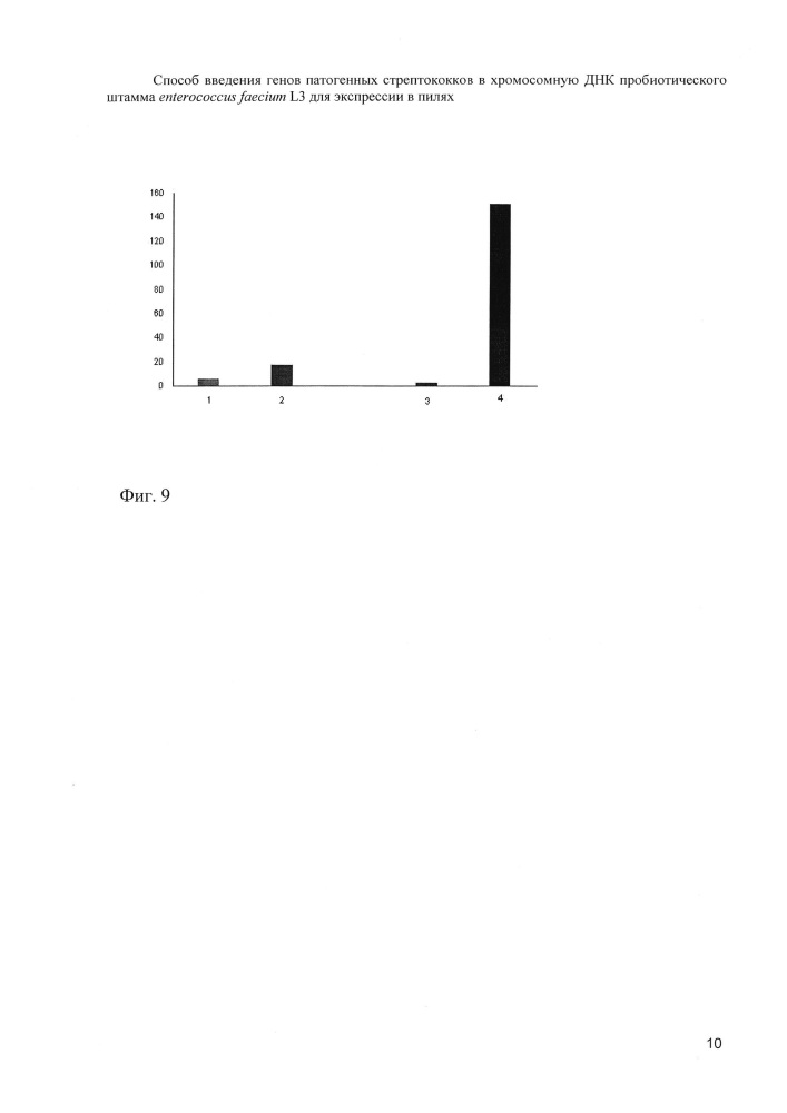 Способ введения генов патогенных стрептококков в хромосомную днк пробиотического штамма enterococcus faecium l3 для экспрессии в пилях (патент 2640250)