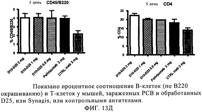 Рсв-специфичные связывающие молекулы и средства для их получения (патент 2527067)