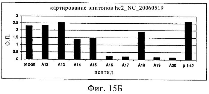 Гуманизированное антитело (патент 2538709)