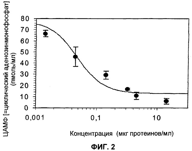 Протеин из растения pilocarpus heterophyllus - антагонист действия человеческого рилизинг-фактора гормона роста (ghrh), применение протеина для получения лекарственного средства (варианты), лекарственное средство (варианты), фармацевтическая композиция для противодействия эффектам ghrh, моноклональное антитело и способ выделения протеина (варианты) (патент 2305683)