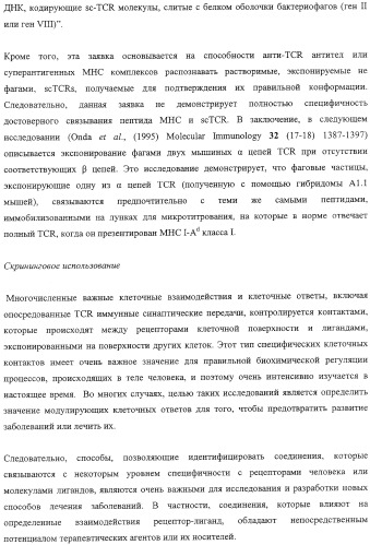 Экспонирование т-клеточных рецепторов (патент 2346004)