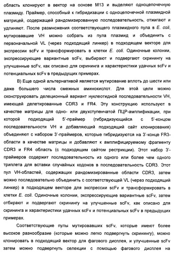 Антитела-нейтрализаторы гранулоцитарно-макрофагального колониестимулирующего фактора человека (патент 2458071)