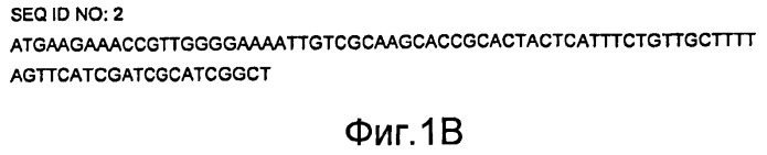 Мoдифицированные протеазы (патент 2496875)