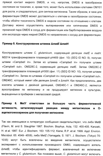 Применение диметилдисульфида для продукции метионина микроорганизмами (патент 2413001)