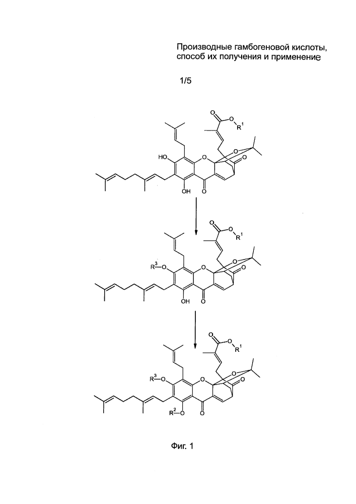 Производные гамбогеновой кислоты, способ их получения и применение (патент 2598032)