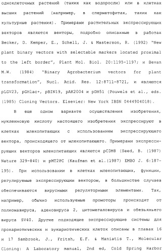 Гены corynebacterium glutamicum, кодирующие белки метаболических путей (патент 2306339)
