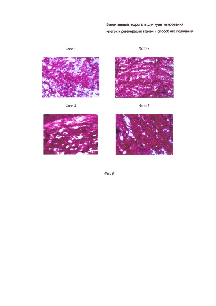Биоактивный гидрогель для регенерации кожи (патент 2659383)