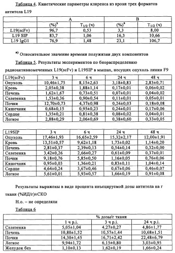 Избирательный направленный перенос в сосудистую сеть опухоли с использованием молекул антител (патент 2347787)