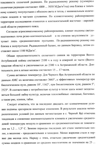 Способ прогнозирования семенной продуктивности солодки (патент 2364078)