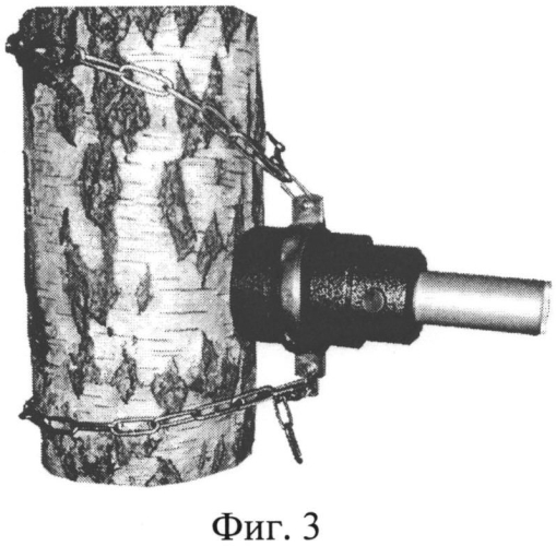 Устройство для крепления измерительного прибора на стволе дерева (патент 2568468)