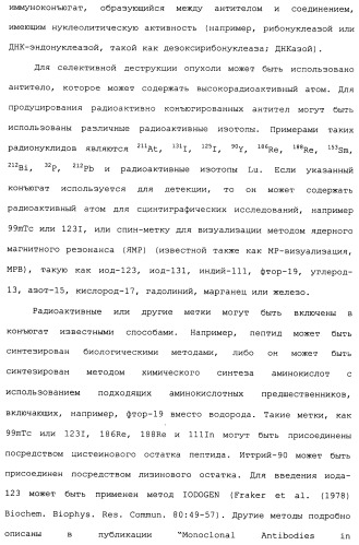 Антитела к her (патент 2504553)
