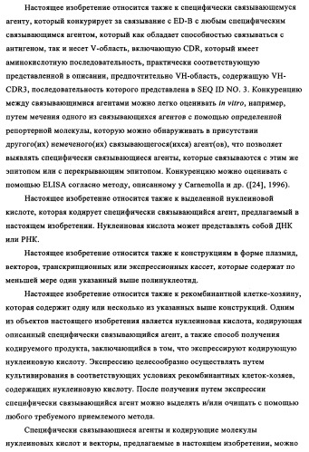 Избирательный направленный перенос в сосудистую сеть опухоли с использованием молекул антител (патент 2347787)