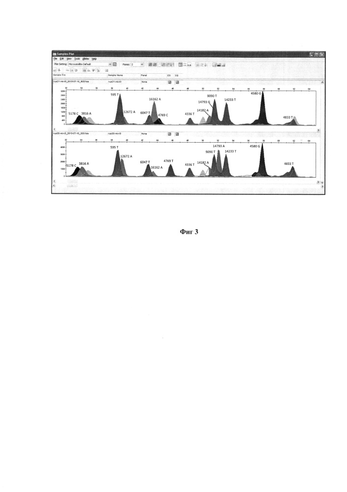 Набор синтетических олигонуклеотидных проб для определения генотипа митохондриальной днк человека (патент 2652895)
