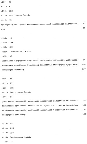 Промоторы lactococcus и их применение: (патент 2495129)