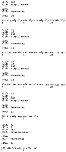 Рекомбинантное получение пептидов (патент 2548815)