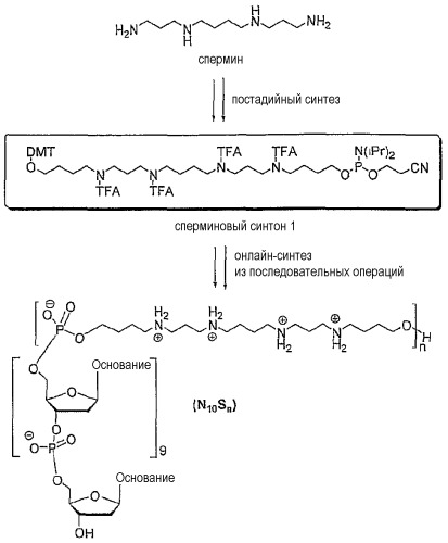 Катионные олигонуклеотиды, автоматизированные способы их получения и их применение (патент 2451022)