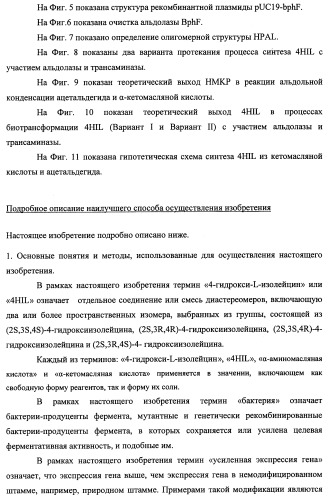 Способ производства 4-гидрокси-l-изолейцина или его соли (патент 2355767)