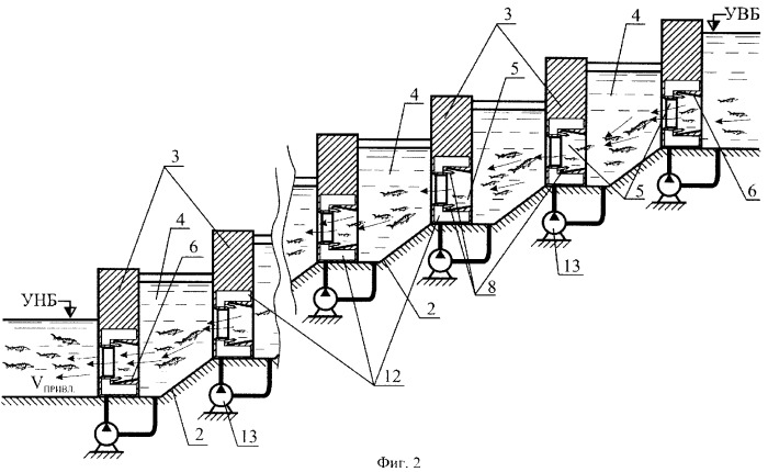 Рыбоход для привлечения и пропуска рыбы из нижнего бьефа гидроузла в верхний бьеф (патент 2339762)