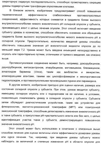 Использование уреазы для ингибирования роста раковых клеток (патент 2326691)