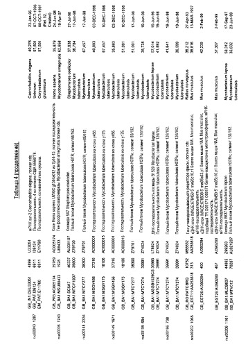 Гены corynebacterium glutamicum, кодирующие белки, участвующие в метаболизме углерода и продуцировании энергии (патент 2321634)