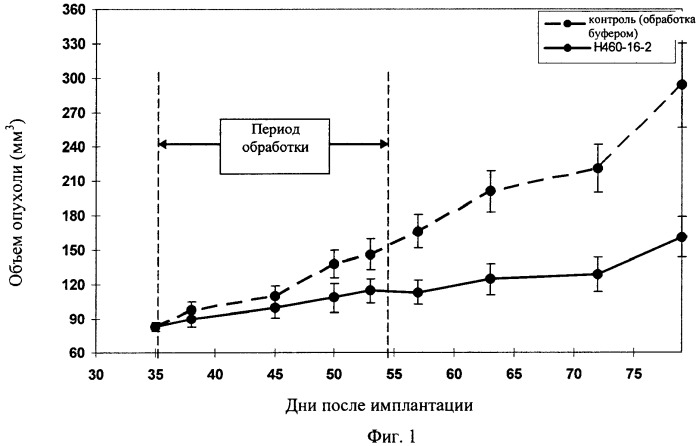 Химерные и гуманизированные антитела к cd44, которые опосредствуют цитотоксичность в отношении раковых клеток (патент 2487723)