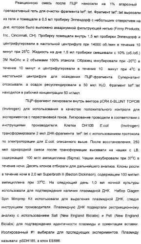 Продуцирование il-21 в прокариотических клетках-хозяевах (патент 2354703)