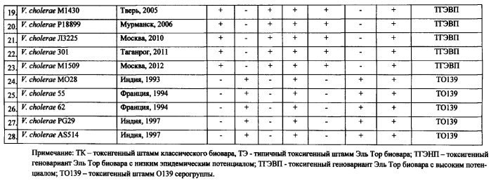 Способ одновременной идентификации токсигенных штаммов геновариантов возбудителя холеры эль тор и их дифференциации по эпидемическому потенциалу методом мультиплексной полимеразной цепной реакции (патент 2560280)