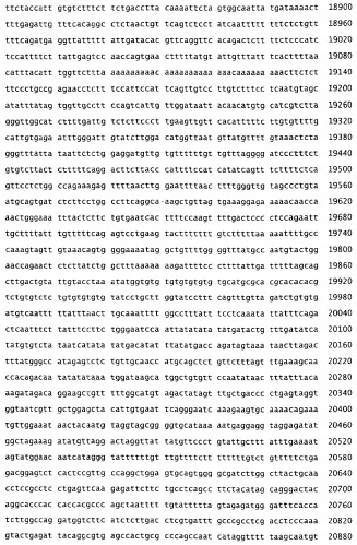 Применение s1p (патент 2362565)