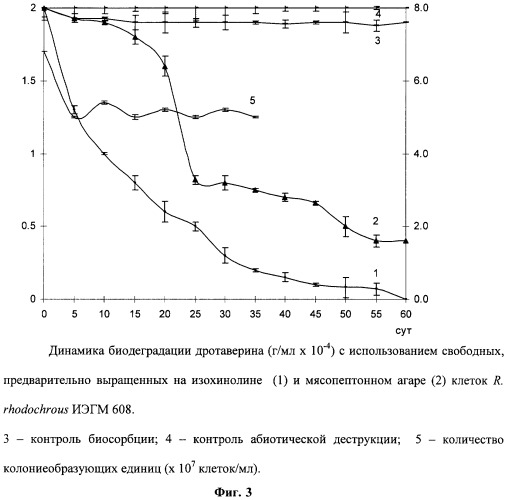 Способ биодеградации дротаверина гидрохлорида (патент 2496866)
