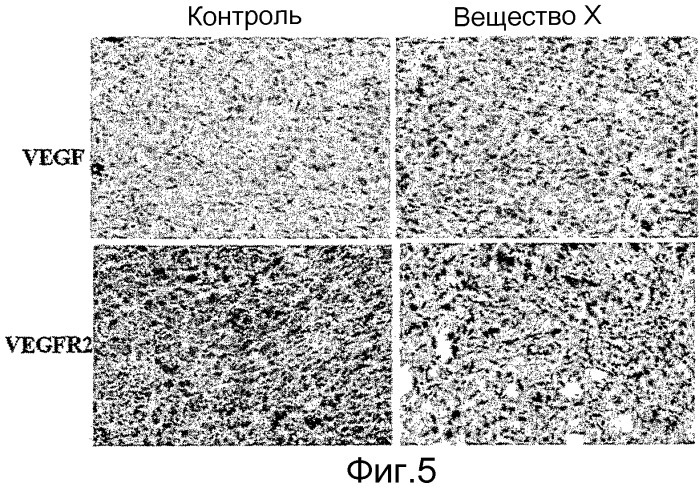 Индолил-замещенные пиразино-хинолины и их применение для лечения рака (патент 2527526)