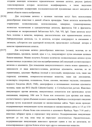 Конструкции слияния и их применение для получения антител с повышенными аффинностью связывания fc-рецептора и эффекторной функцией (патент 2407796)