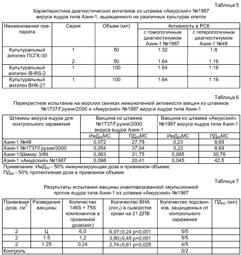 Штамм &quot;амурский&quot; № 1987 вируса ящура типа азия-1 для контроля антигенной и иммуногенной активности вакцин и для изготовления биопрепаратов для диагностики и специфической профилактики ящура типа азия-1 (патент 2348690)