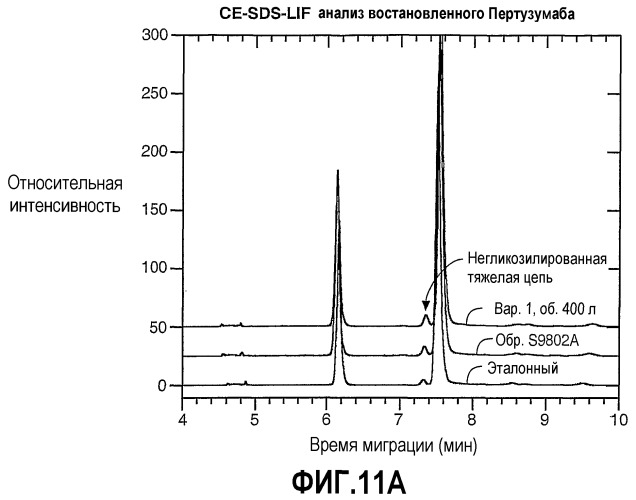 Композиция антител к her2 (патент 2361880)