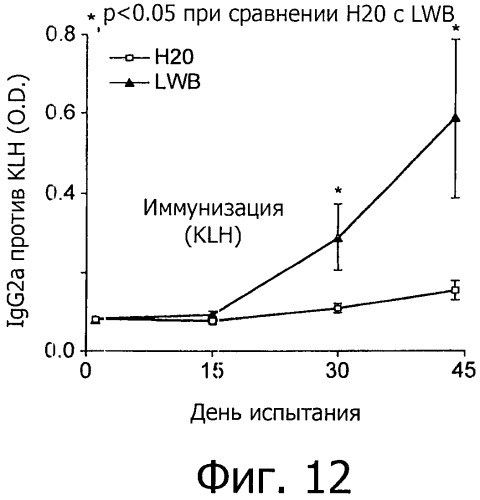 Заманиха и воспаление (патент 2499604)