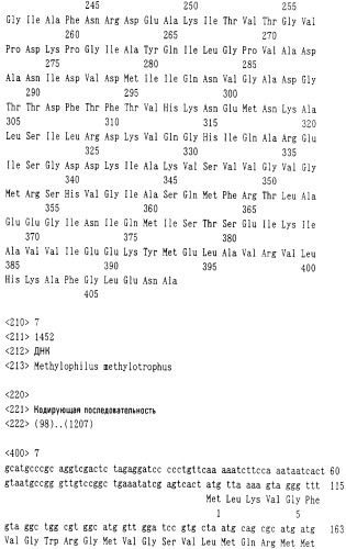 Бактерия, продуцирующая l-аминокислоту, и способ получения l-аминокислоты (патент 2368659)