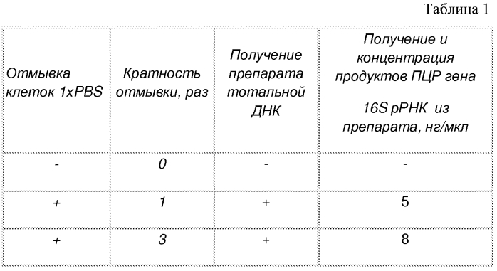 Способ подготовки культур сульфидогенных бактерий для выделения днк (патент 2562176)