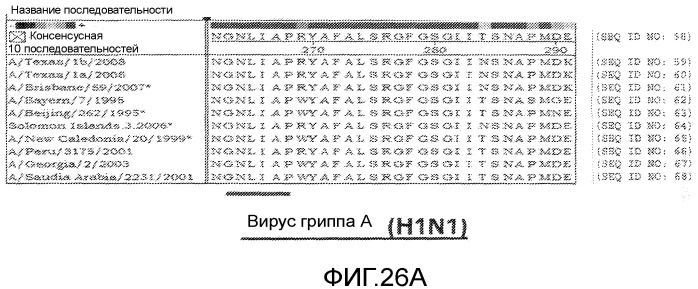 Иммуногенные композиции и способы (патент 2468034)