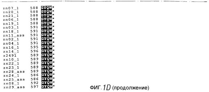 Антиген neisseria, кодирующая его нуклеиновая кислота, их использование (патент 2245366)